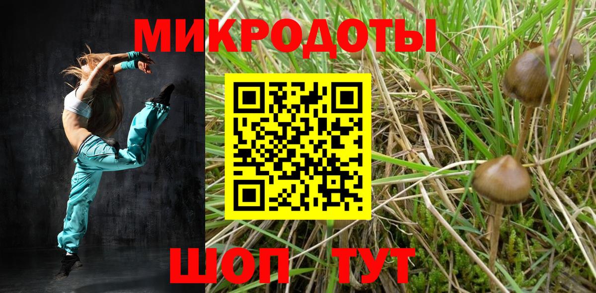 Галлюциногенные грибы Psilocybe Строитель