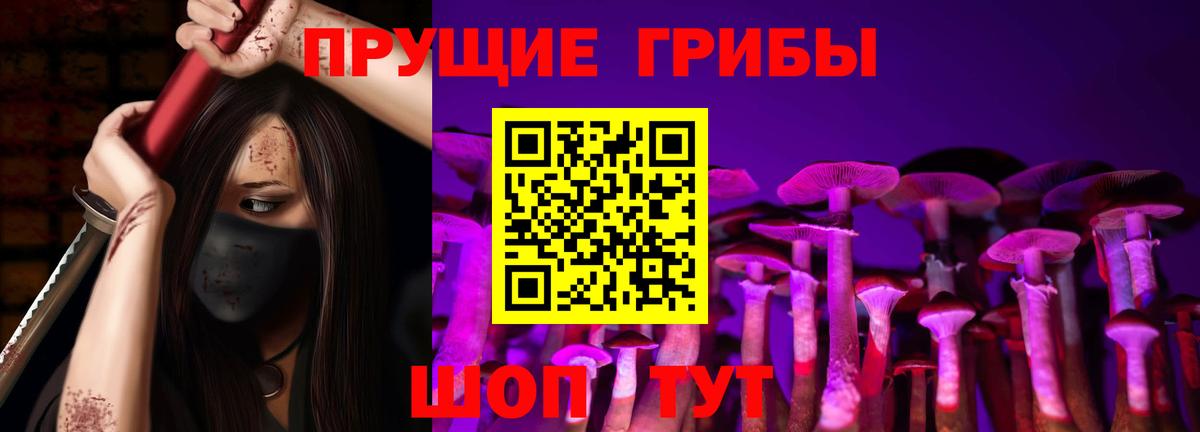Псилоцибиновые грибы GOLDEN TEACHER  Вход с VPN  Строитель 